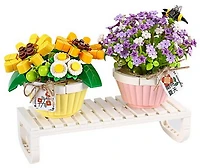 Tournesol et myosotis en pot