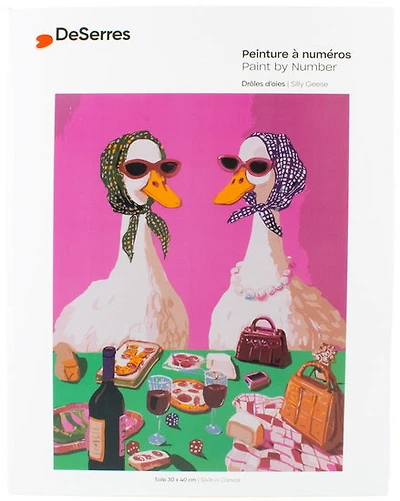 Paint by Numbers Silly Geese