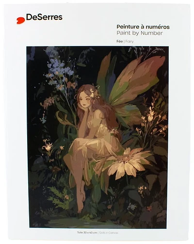 Paint by Numbers Fairy
