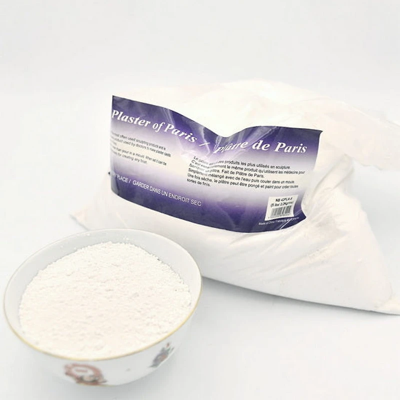 Plaster of paris 5 lb