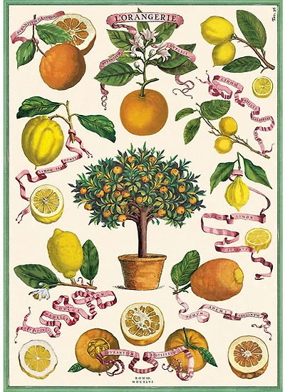 Papier décoratif - L'orangerie 20X28po