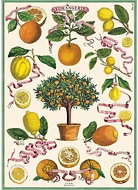 Papier décoratif - L'orangerie  20X28po