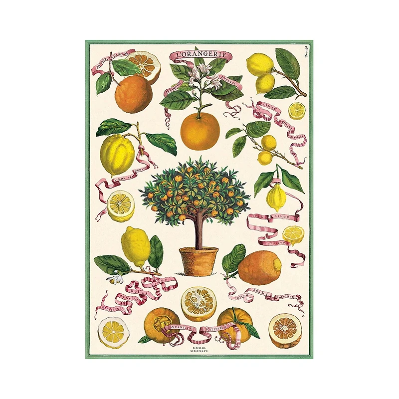 Decorative Paper – The Orangery 20" x 28"
