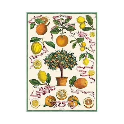 Decorative Paper – The Orangery 20" x 28"