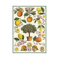 Decorative Paper – The Orangery 20" x 28"
