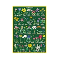 Decorative Paper – Wildflowers 2, 20 x 28 in