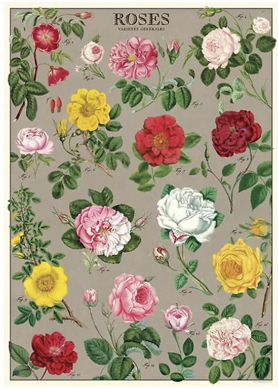 Papier décoratif - Roses 20X28po