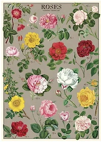 Papier décoratif - Roses  20X28po