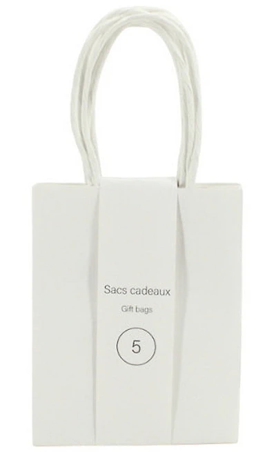 Ens. 5 sacs minis kraft blanc