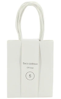 Ens. 5 sacs minis kraft blanc