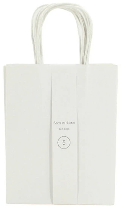 Ens. 5 sacs petits kraft blanc