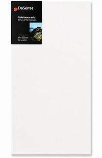 Fine Arts Canvas 24 x 48 x 3/4 in
