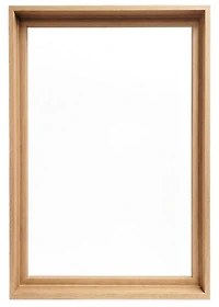 Cadre flottant galerie clair - 24x36po