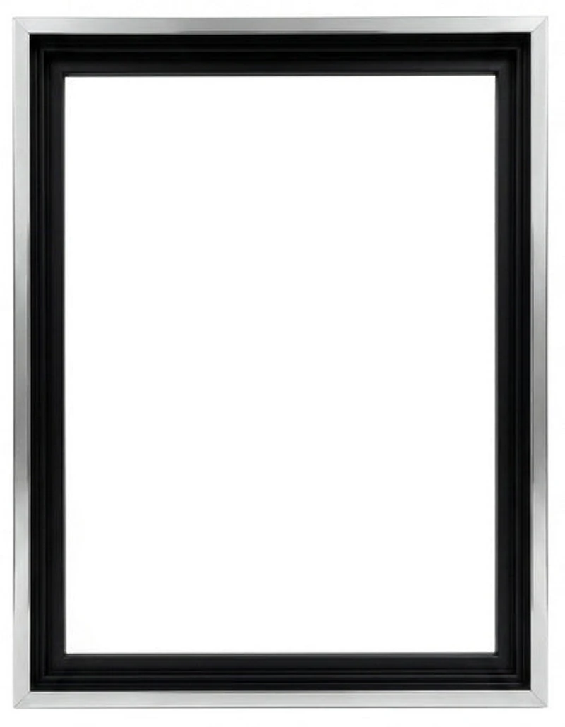 Gallery Floating Frame Black and Silver - 16X20"