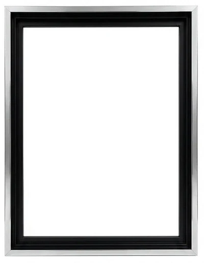 Gallery Floating Frame Black and Silver - 16X20"