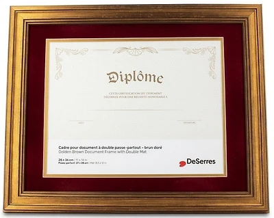 Cadre diplôme brun doré