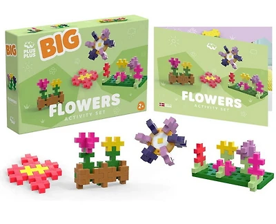 Ensemble Big fleurs 100pcs
