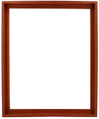 Floater Frame Wood Regular Walnut - 16''X20''
