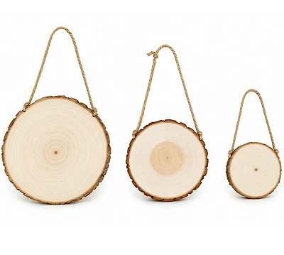Wood Slices 3 Pcs ASST