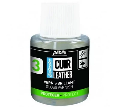 Gloss Varnish 110ml