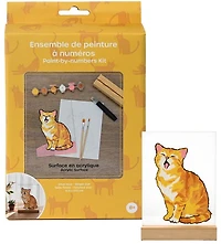 Paint By Numbers Acrylic Surface Cat