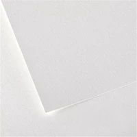 Canson Montval Watercolor Sheet 300g - Cold Press - 22x30in