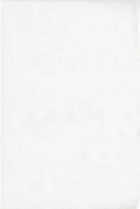 Tablette unie blanche 4x6 96f. (unité)