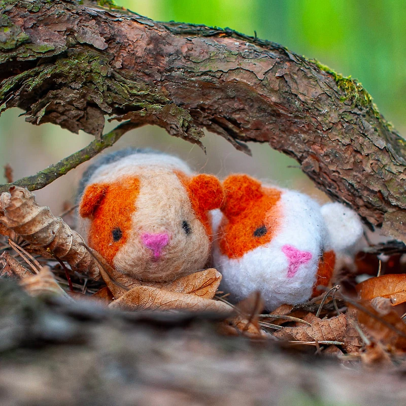 Ensemble feutrage à l'aiguille - cobayes