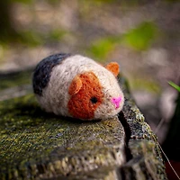 Ensemble feutrage à l'aiguille - cobayes