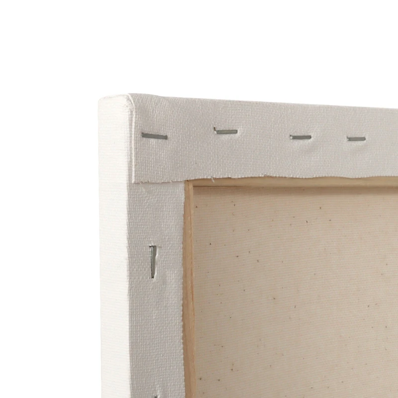Biodegradable Cotton Canvas : Standard, 1.5 cm