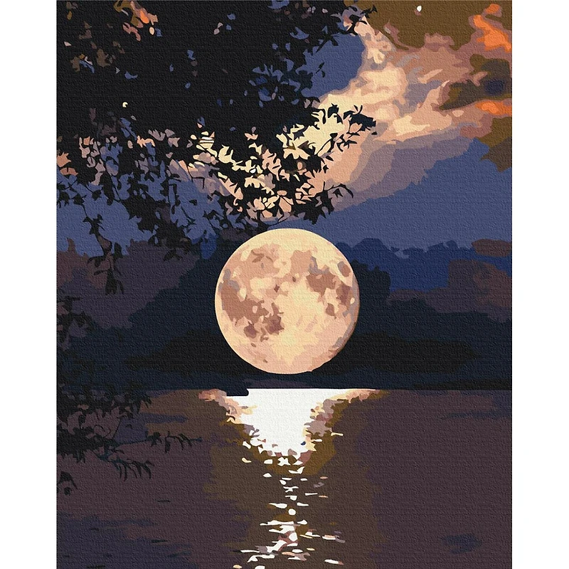 Paint by Numbers Kit - "Moon"