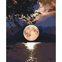 Paint by Numbers Kit - "Moon"