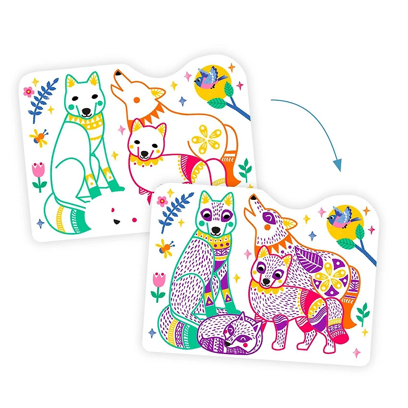 Colour Reveal Pictures - Forest Families