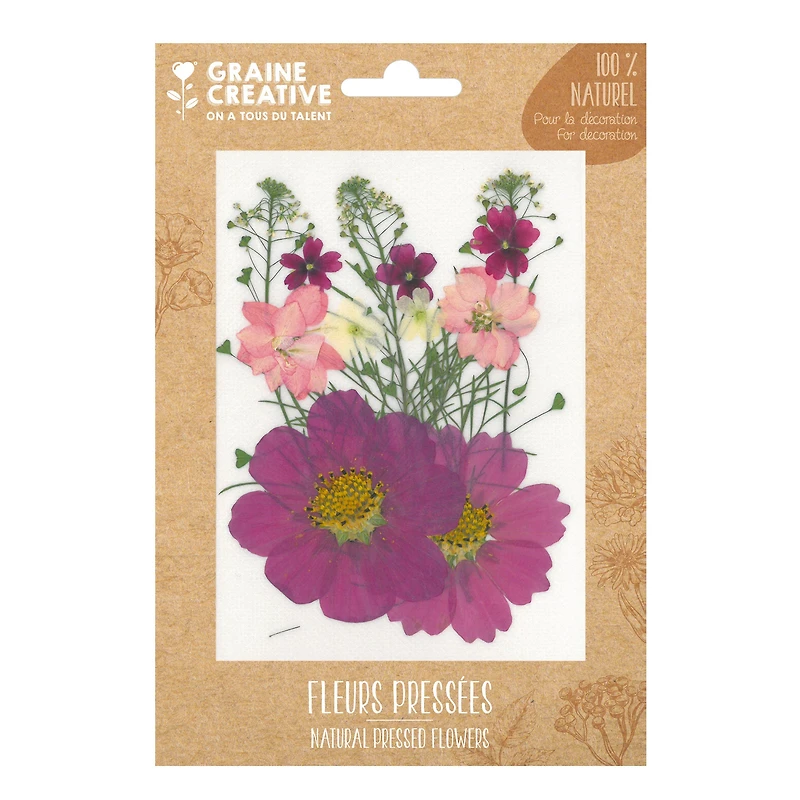 Fleurs pressées naturelles - parme prairie, 14 pièces