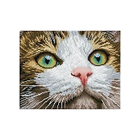 Diamond Dotz Kit - Green Eyed Beauty