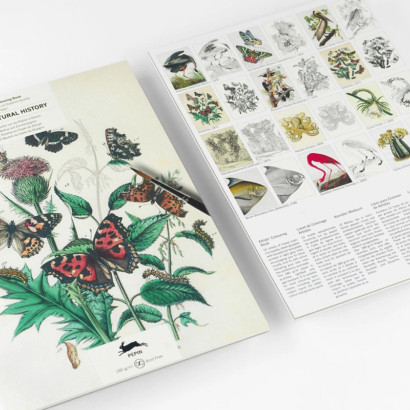 Artists' Colouring Book: Natural History