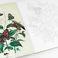 Artists' Colouring Book: Natural History