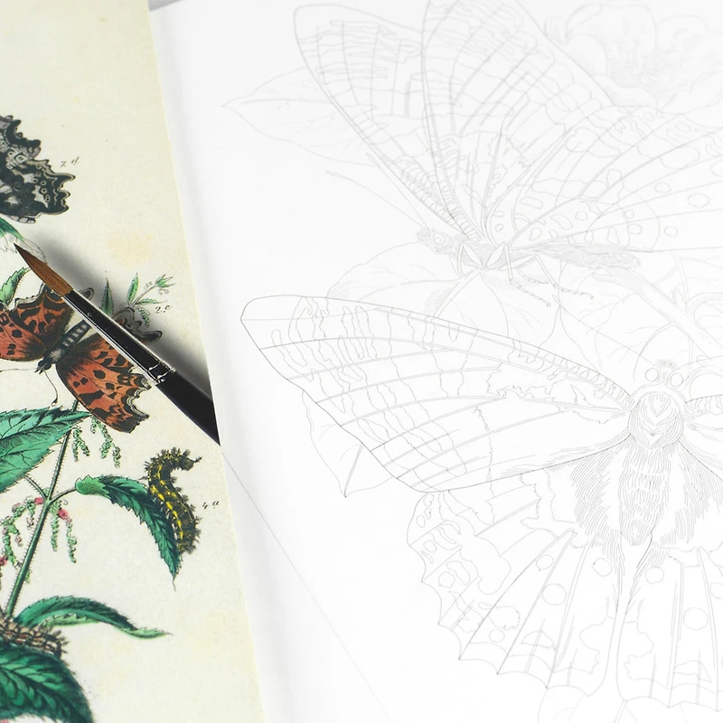 Artists' Colouring Book: Natural History