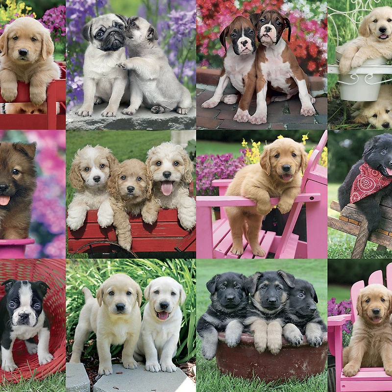 Adult Puzzle - Puppy Pals, 500 Pieces