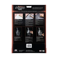 Pqt. 6 panneaux à gratter - noir/blanc