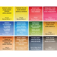 Professional Watercolour Kit - 12 Half Pans