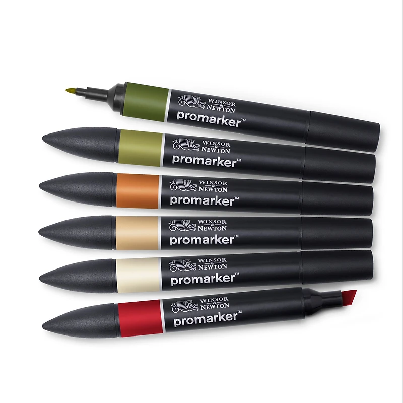 6-Piece Double-Tip Promarker Marker Set