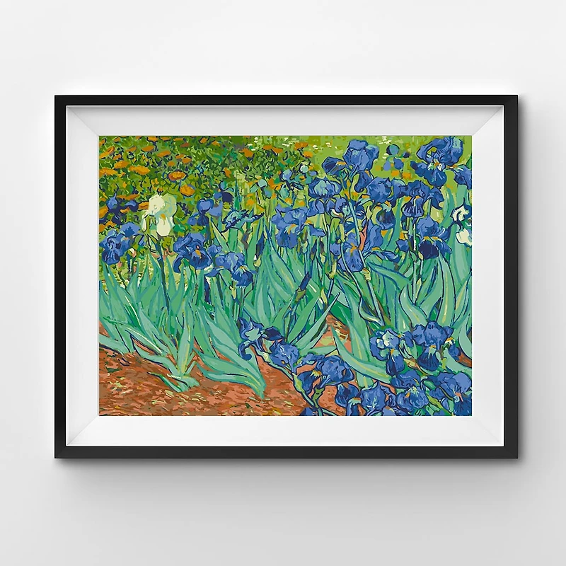 Paint by Numbers - Irises