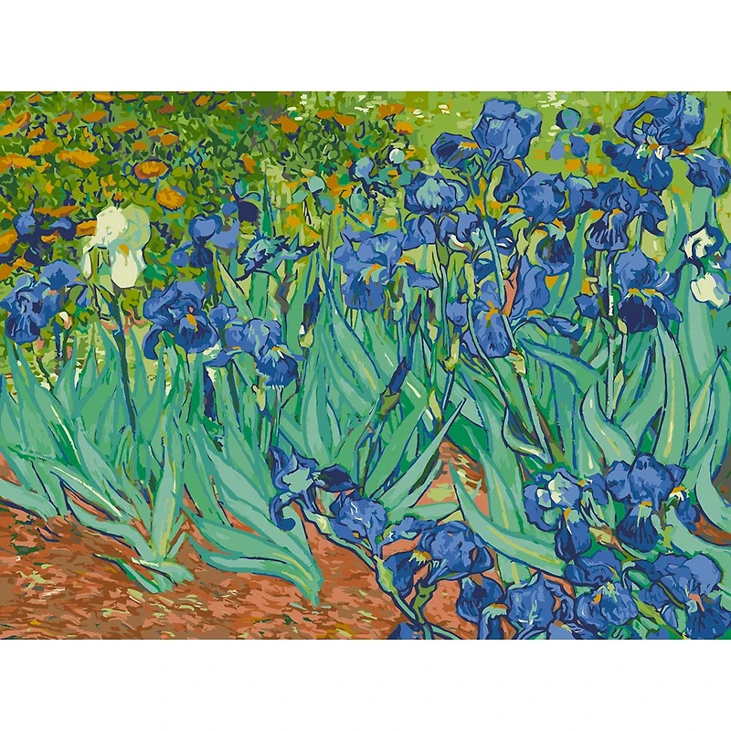 Paint by Numbers - Irises