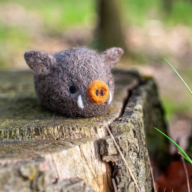 Needle Felting Kit - Boar