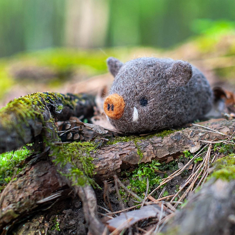 Needle Felting Kit - Boar