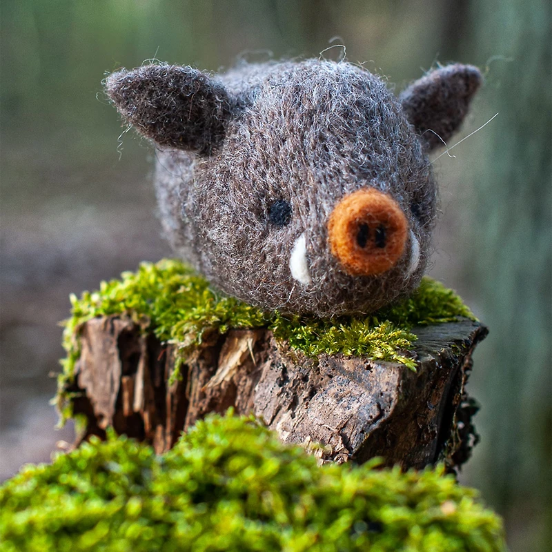 Needle Felting Kit - Boar