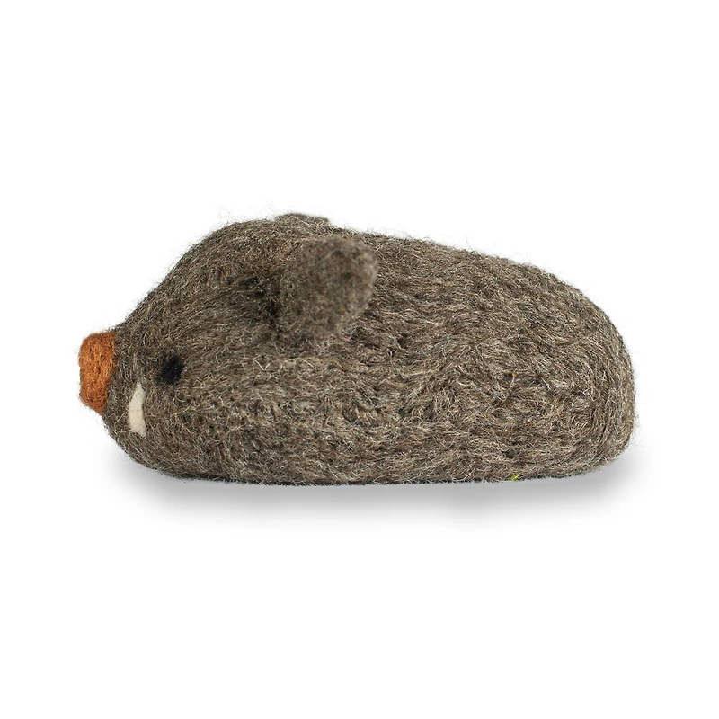 Needle Felting Kit - Boar