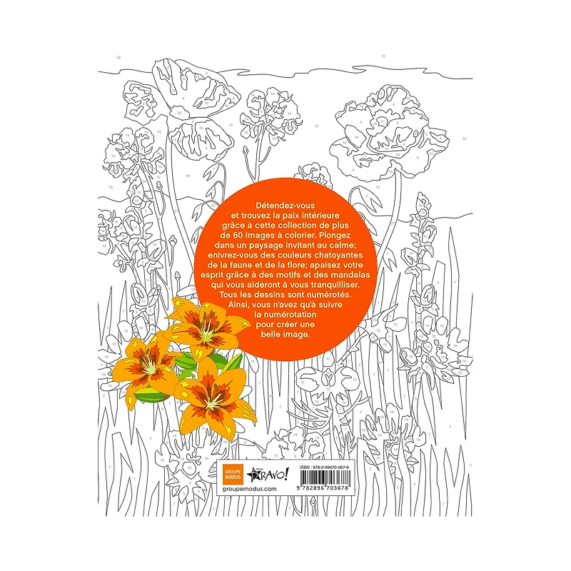 Coloriage par numéros : Zénitude - French Ed.