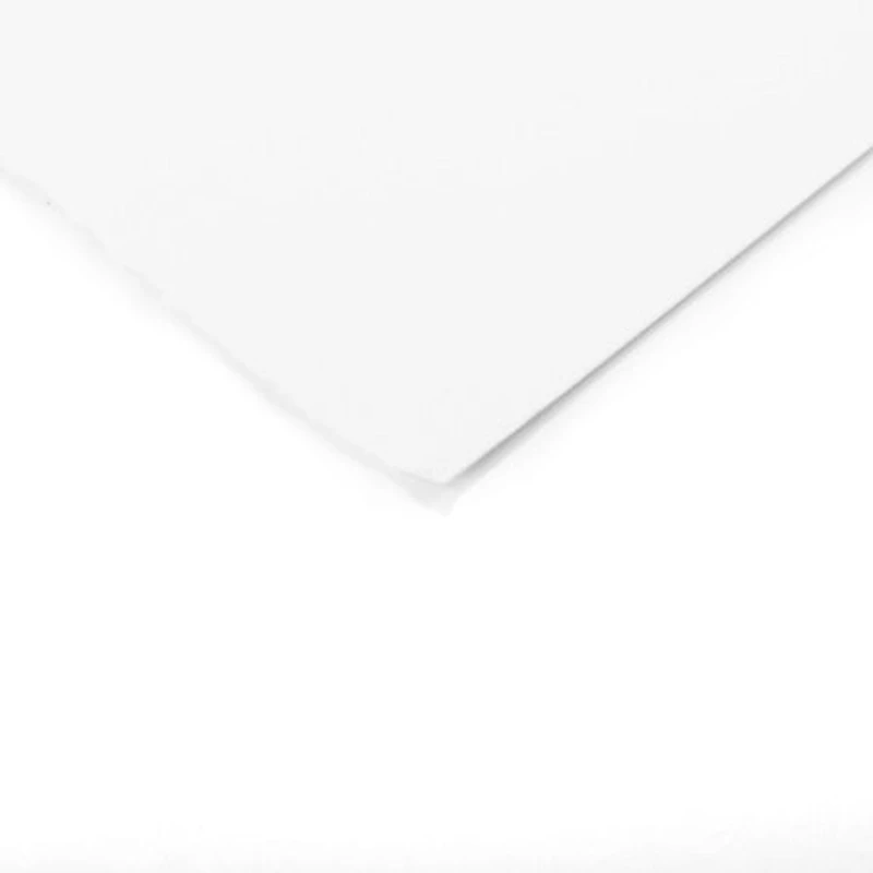 Canson Edition White Artist Sheet